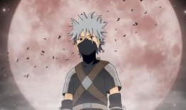 元气卡卡西最新爆料,最新爆料背后的精彩故事